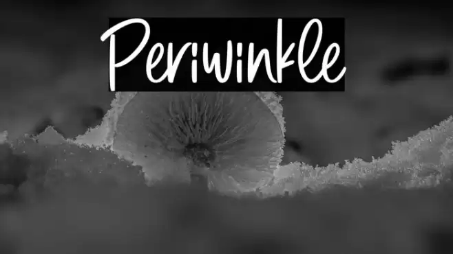 Periwinkle Font | Free Download (TTF/OTF) | FFonts.net