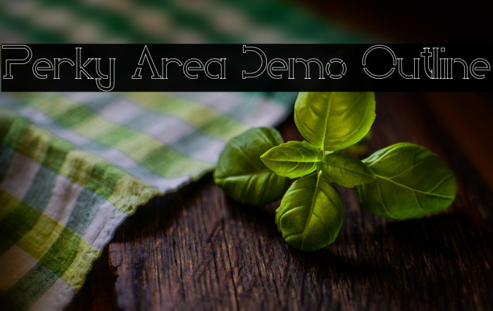 Perky Area Demo Outline Example 2