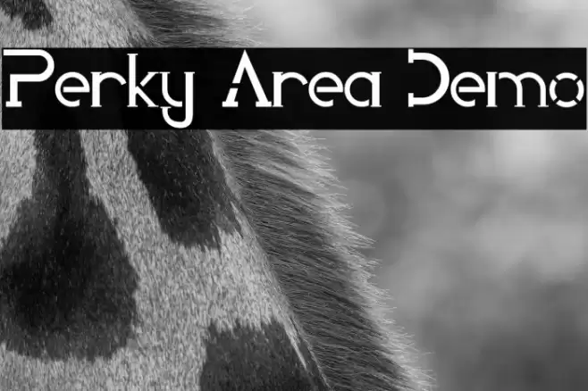 Perky Area Demo Font examples