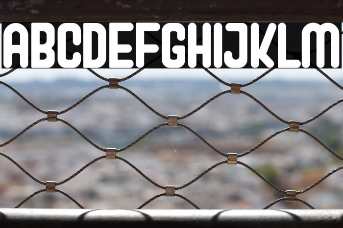 Perky Dream Example 1