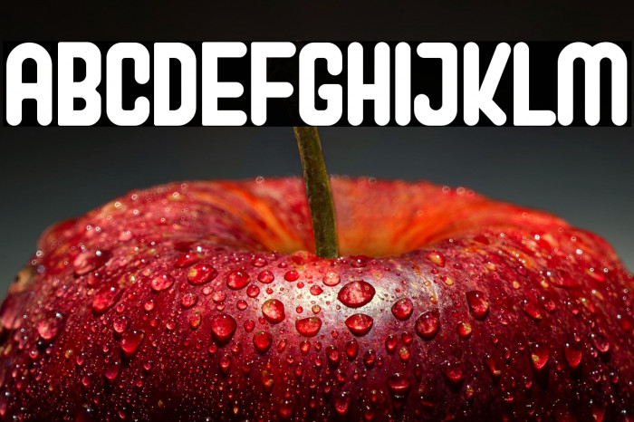 Perky Dream Example 2