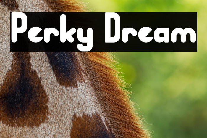 Perky Dream Example 2