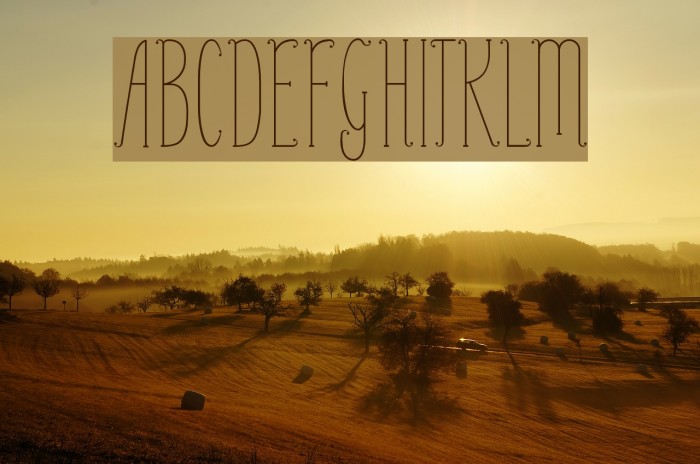 PerleDeRosee-Condensed Font examples