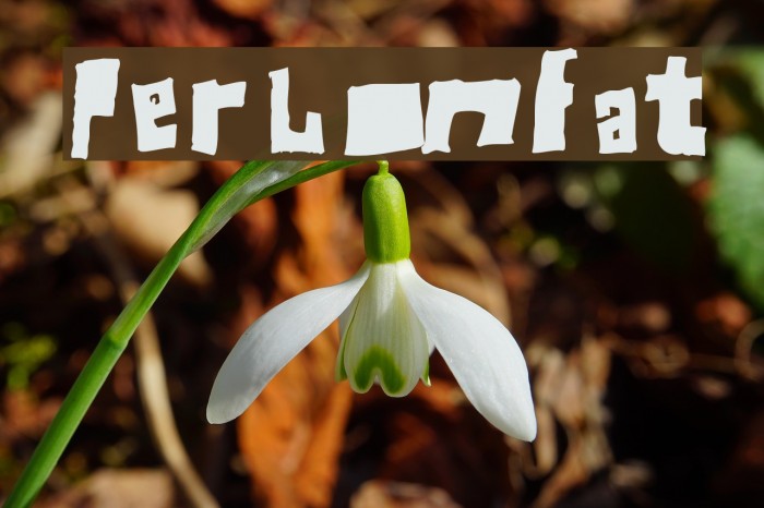 Perlon Fat Font examples