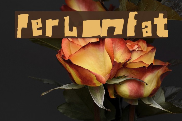 Perlon Fat Font examples