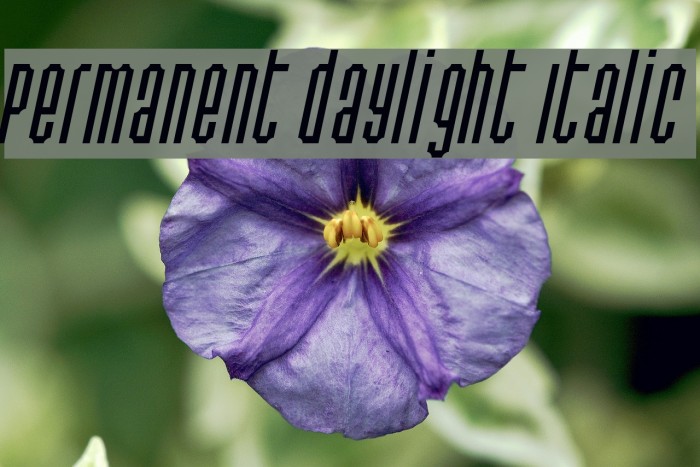 Permanent daylight Italic フォント examples