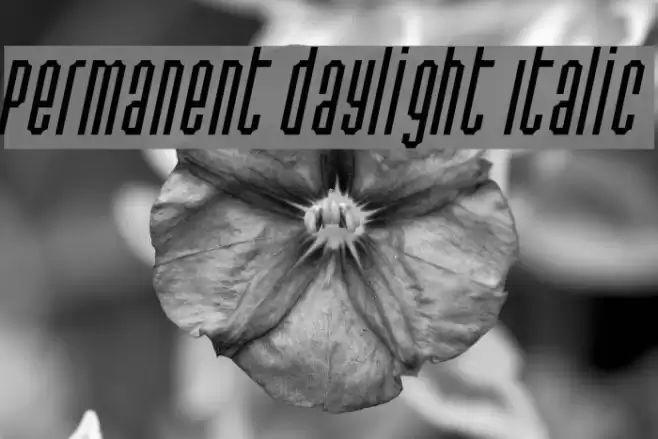 Permanent daylight Italic フォント examples