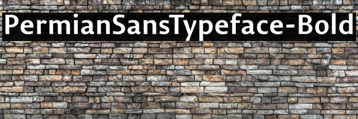 PermianSansTypeface-Bold Example 1