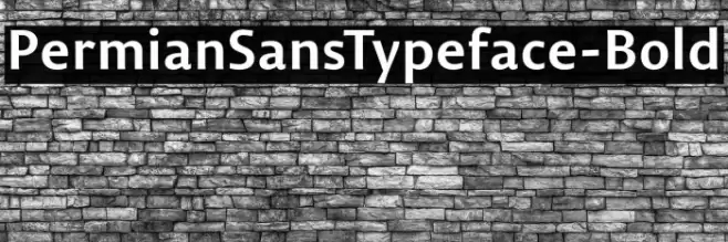 PermianSansTypeface-Bold フォント examples