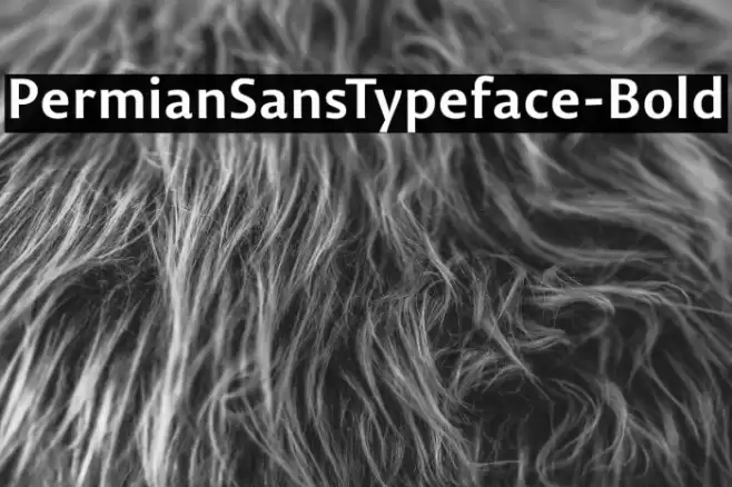 PermianSansTypeface-Bold フォント examples