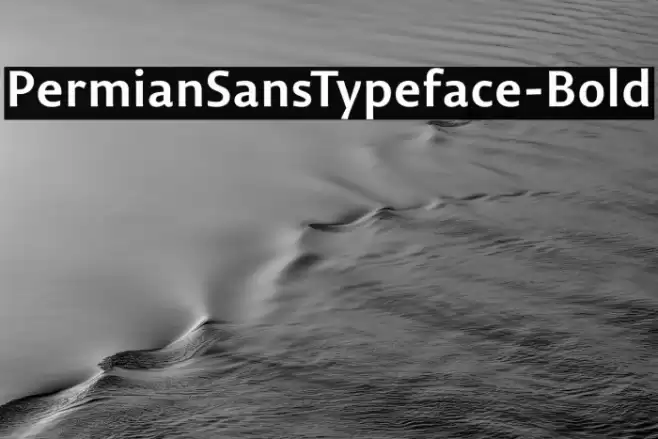 PermianSansTypeface-Bold フォント examples
