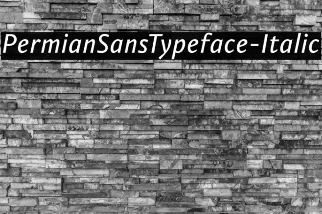 PermianSansTypeface-Italic Font examples