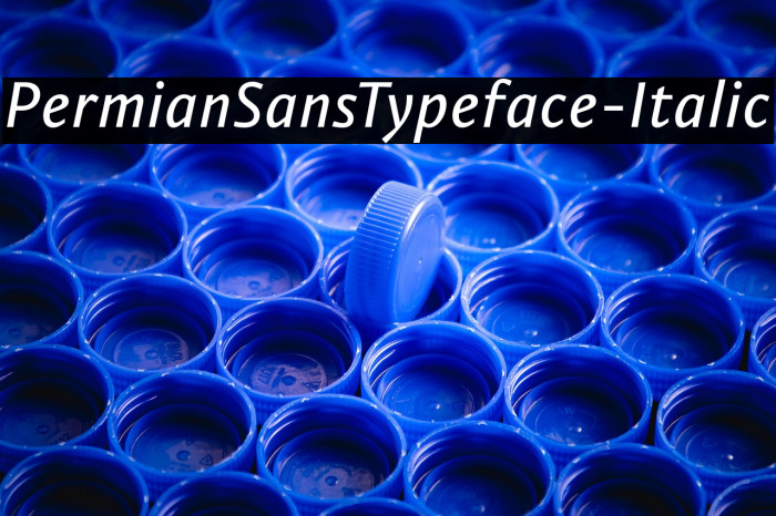 PermianSansTypeface-Italic Example 2