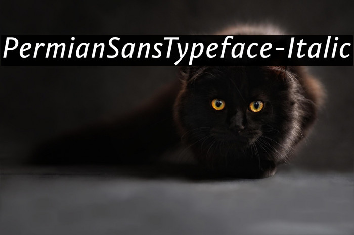PermianSansTypeface-Italic Example 3