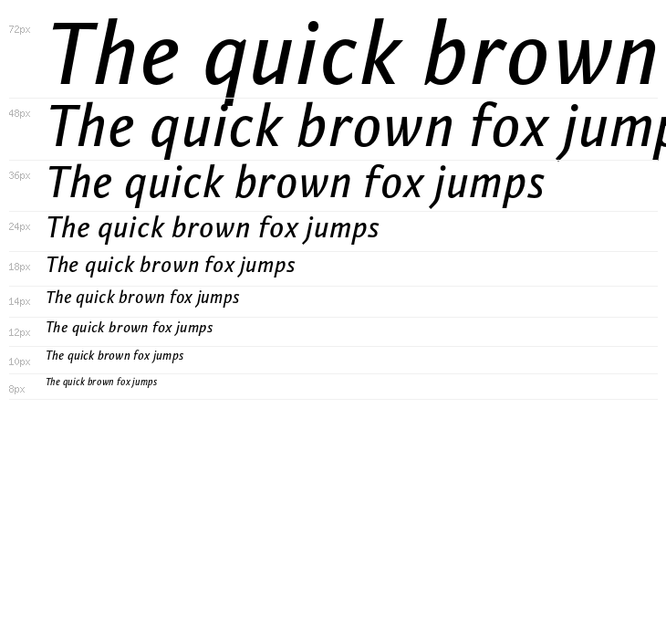 PermianSansTypeface-Italic Waterfall