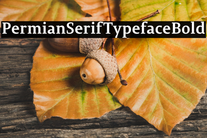 PermianSerifTypeface-Bold Example 1