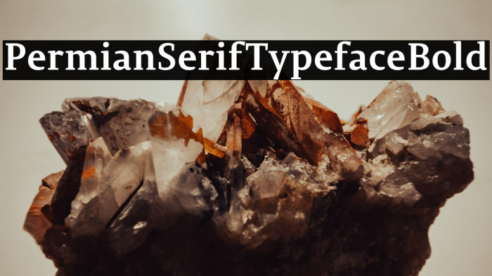 PermianSerifTypeface-Bold Example 3