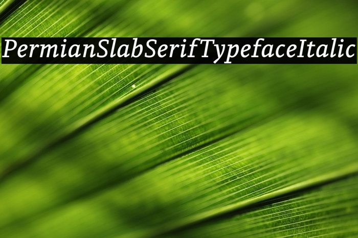 PermianSlabSerifTypeface-Italic Example 3