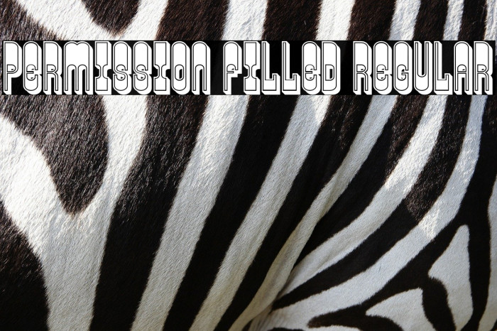 Permission Filled Regular Font examples