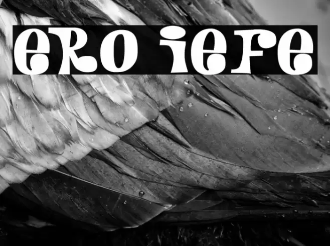 Pero Jefe Caratteri examples