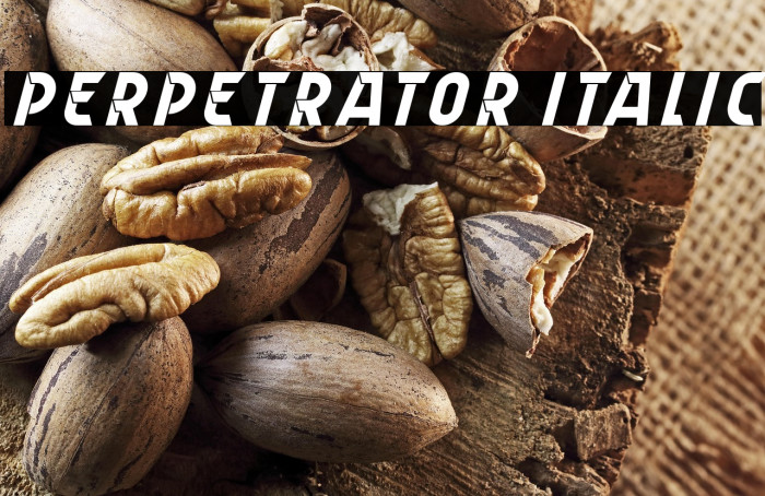 Perpetrator Italic Example 1