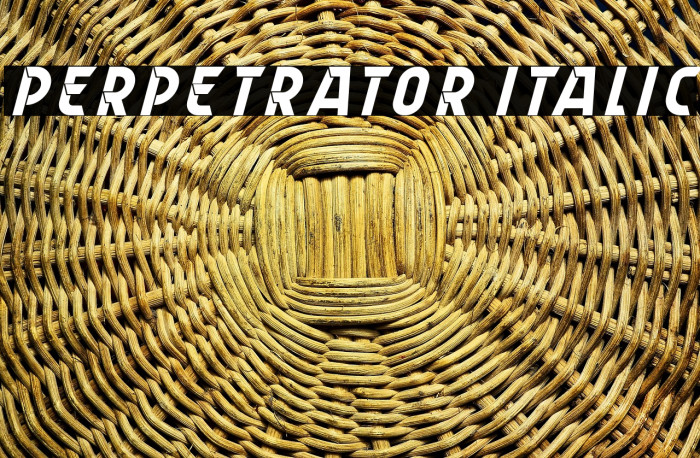Perpetrator Italic Example 2