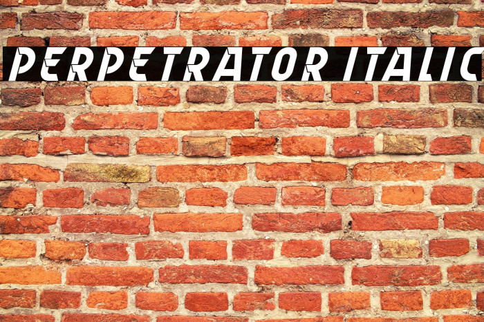 Perpetrator Italic Example 3