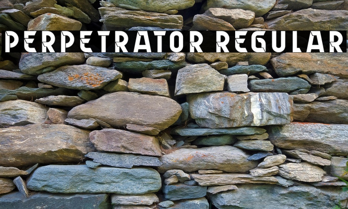 Perpetrator Regular Example 1