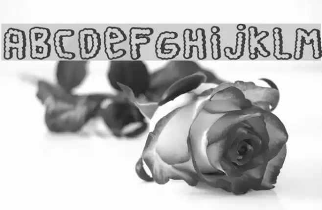 Perra Gorda Font examples