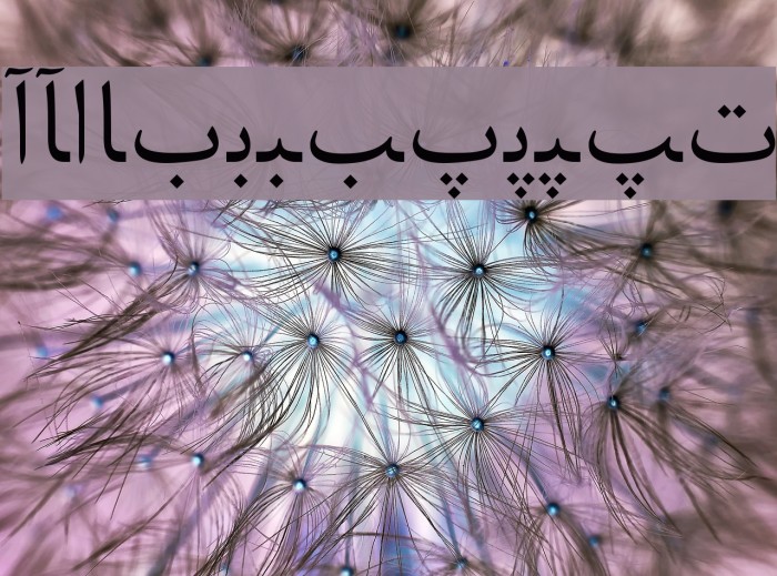 Persian Web Font examples