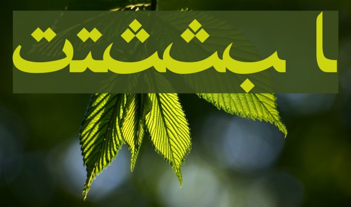 PersianNaskhSSK Bold Example 3