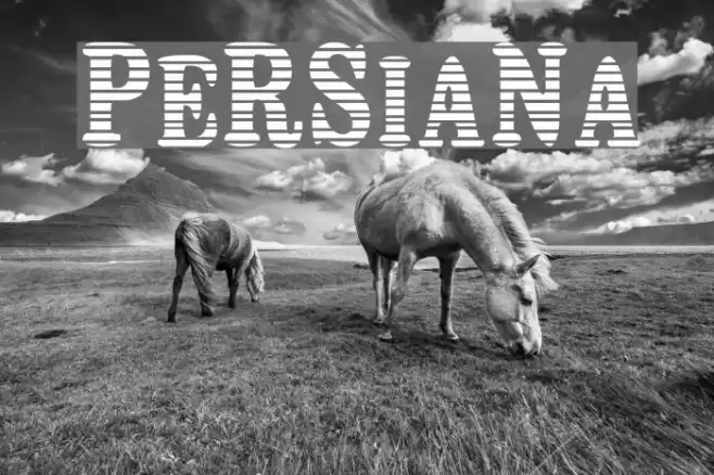 Persiana Font examples