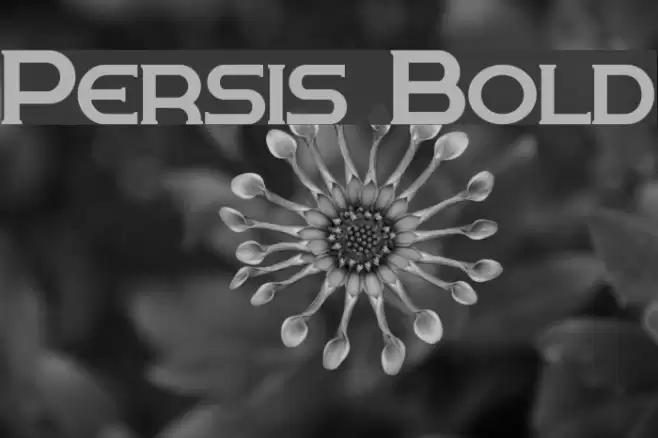 Persis Bold Font examples