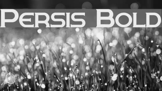 Persis Bold Font examples