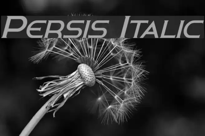Persis Italic Font examples