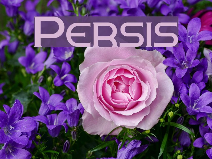 Persis Font examples