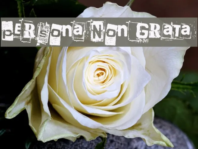Persona Non Grata Example 1