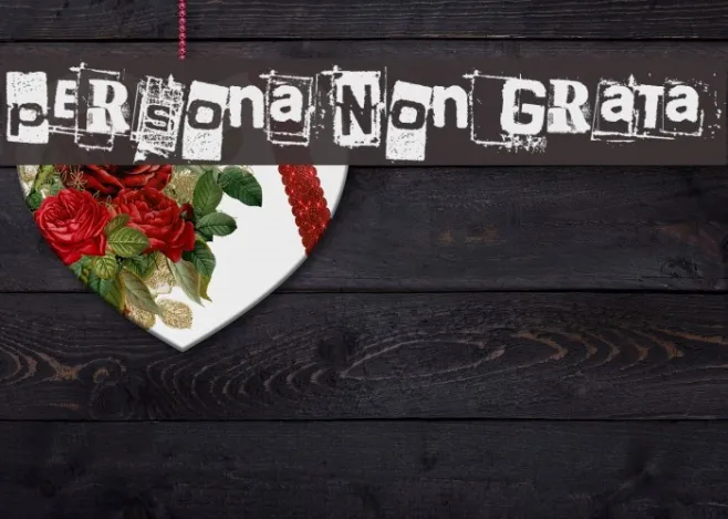 Persona Non Grata Example 2