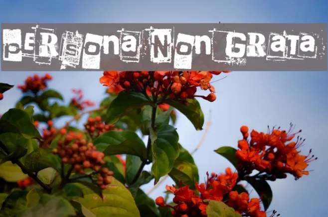 Persona Non Grata Example 3