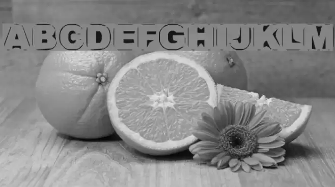 Persona Font examples