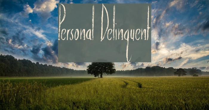Personal Delinquent Font examples