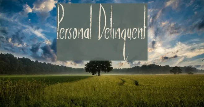 Personal Delinquent Example 2