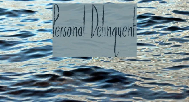 Personal Delinquent Example 3