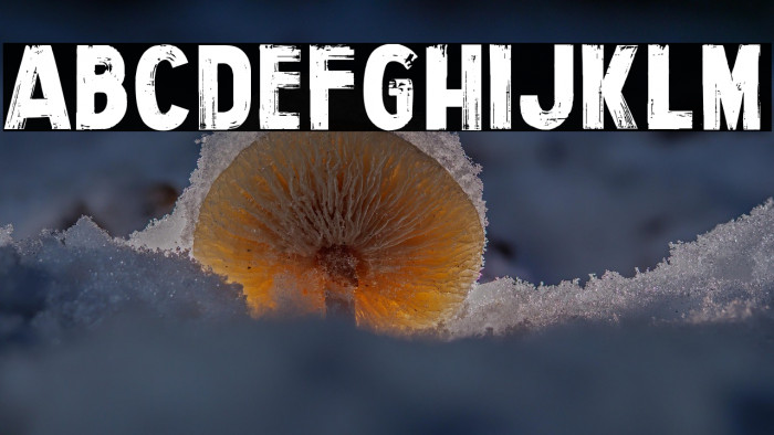 Personal Services Example 1