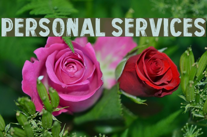 Personal Services Font examples