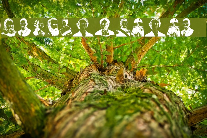 Personalidades 1 Example 1