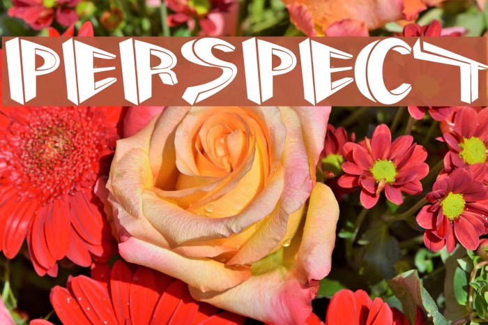 Perspect Font examples