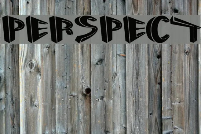 Perspect Example 3