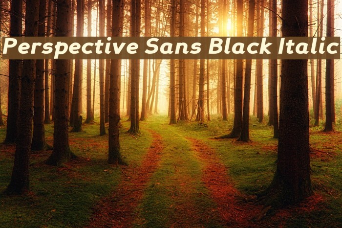 Perspective Sans Black Italic Font examples