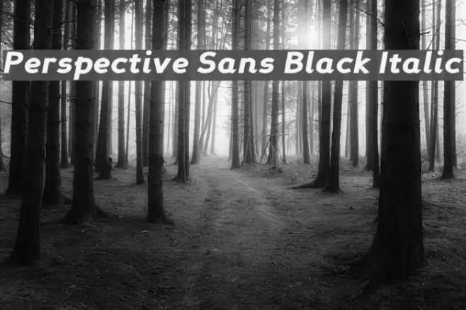 Perspective Sans Black Italic フォント examples